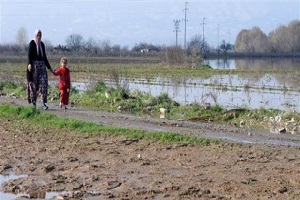 Yağışlar Tarımı Olumsuz Etkiledi