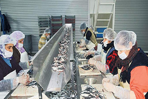 Hibe Desteği Hayatlarını Değiştirdi