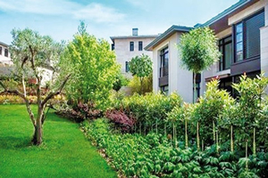 Komedyenlikten Organik Tarıma