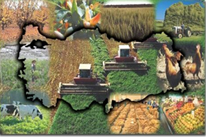 Türkiye İle Rusya Arasındaki Engeller Kalktı