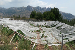 Dolunun Faturası 1 5 Milyon Lira