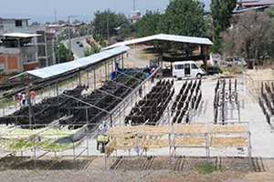 Ellerinde Kalan Patlıcanları Kurutunca Bir Çok Ülkeye Satmaya Başladılar