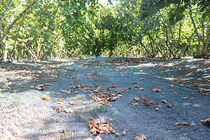 Genç Girişimciden Pratik Çözüm