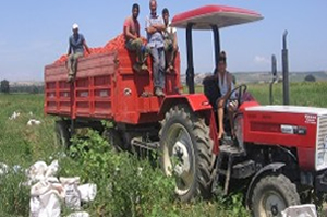 Çiftçi Kaderine Terk Edildi