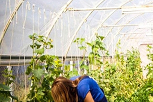 Genç Çiftçi Projesi nde Yedek Listeden 6 Kişiye Hibe Desteği