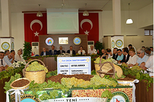 Sezonun İlk Kuru Üzümü 50 TL den Satıldı