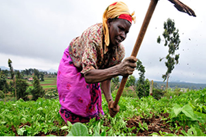 Afrika Toprakları Kapış Kapış Gidiyor