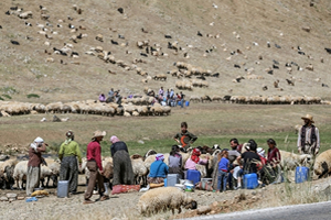 Otlu Peynir in Asırlık Sırrı