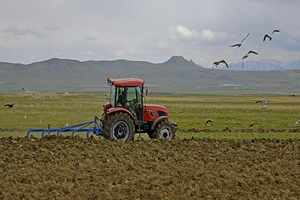 Tarım- ÜFE`de Sınırlı Düşüş