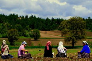 Tarımda İstihdam 5 5 Milyonu Aştı