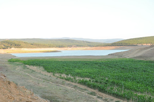 Keşan da İçme Suyunu Karşılayan Barajın Kuruyan Alanlarına Ürün Ektiler