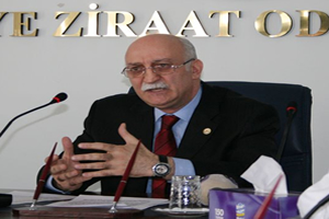 Sanayiye Aktarılan İnek Sütü Miktarı Arttı