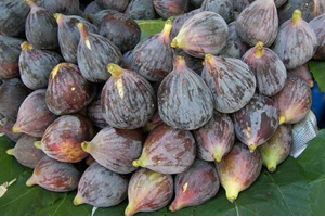 Siyah İncirde Hedef Uzakdoğu Pazarı