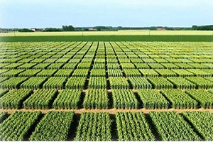 Türkiye Gürcistan Tarımsal İş Forumu