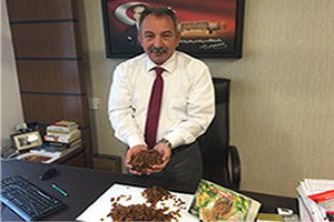 Nurlu Açığa Üzüm Dökmeyin