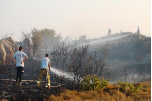Endemik Bitkiyle Kaplı Makilik Alan Küle Döndü