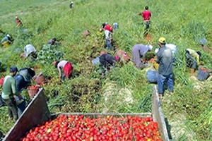 Ailesine Yardım Ederken Can Verdi