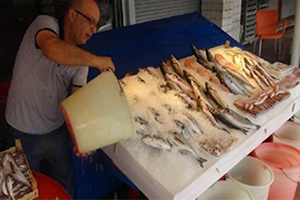 Balık Fiyatları El Yakıyor