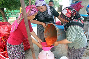 Kırmızı Biberin Salçaya Uzanan Zahmetli Yolculuğu