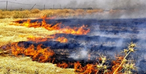 Anız Yakanlara 34 Bin Lira Ceza