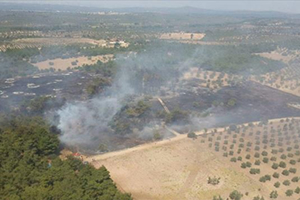 20 Hektar Tarım Arazisi Küle Döndü