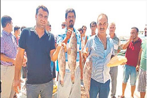 Balıkçılar Avlanma Yasağına İsyan Etti