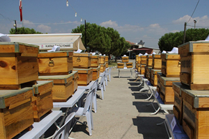 Sahte Ballara Karşı Arıcılara Kovan Desteği