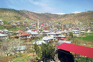 Tarlamvar da Üç Farklı Model