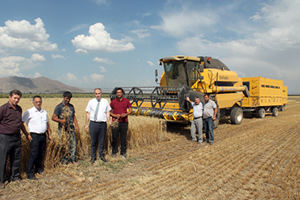 Hasatta Hedef En Az Dane Kaybı