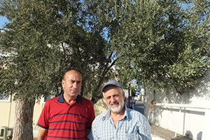 İlaçlama İçin Uyarı Yapıldı