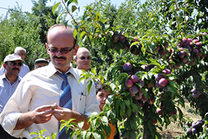 Japon Grubu Eriği Kahramanmaraş Üretim Listesinde Yerini Aldı