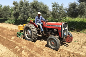 Silajlık Mısırda İkinci Ekim