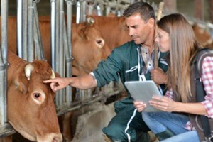 Personel Alımı Yapılacak