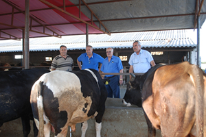 Kurbanlık Alırken Bunlara Dikkat