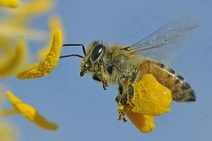 Başvurular Bugün Başladı