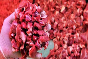 Bosna Hersek ten Sığır Eti İthalatı