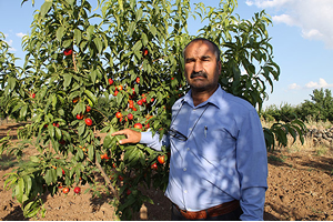 Şırnaklı Çiftçinin Başarısı