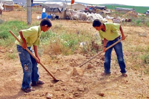 Türkiye de Çocukların Yüzde 55 i Çalıştırılıyor
