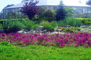 Geleceğin Bitki Uzmanları Bu Bahçede Yetişiyor