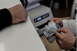 Bitkisel Üretim Destekleme Ödeme Esasları