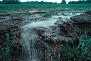 Tarımsal Kaynaklı Nitrat Kirliliğine Karşı Sular Korunacak