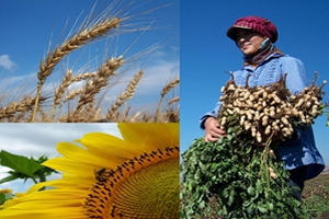 Çiftçi Kayıt Sistemi Nedir