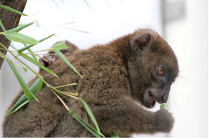 Doğal Yaşam Ailesi Büyüyor