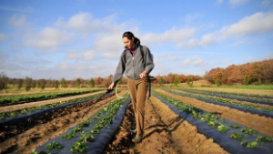 200 Çiftçiden 36 sı Hibe Almayı Hak Etti