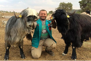 Toroslar'ın Dev Keçileri Gölleri Kurtaracak