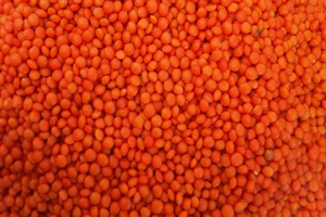 Stokçular Mercimeği Uçurdu