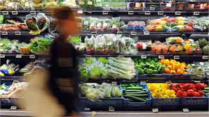 Rusya tarım ithalatı için ekip gönderdi