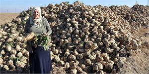 Cargill den o iddialara yanıt