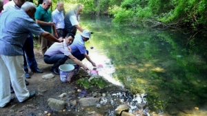 Orman İçi Suların Balıklandırılması Projesi