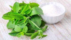 Stevia Şeker Otu Birçok Hastalığa İyi Geliyor